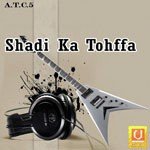 Shadi Ka Tohffa - Rajkumar Song Download